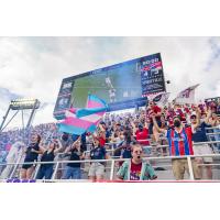 Fans cheer on the Washington Spirit