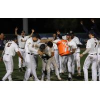 Charleston RiverDogs celebrating a win