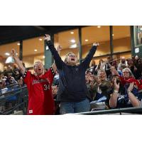 Fans cheer on the Charleston RiverDogs