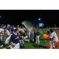 Pensacola Blue Wahoos celebrate a championship berth