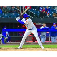 Syracuse Mets' Carlos Rinconz at bat