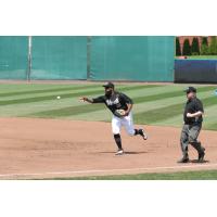 York Revolution first baseman Nellie Rodriguez