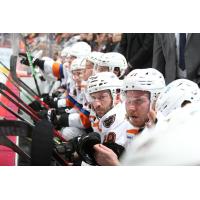 Lehigh Valley Phantoms watch from the bench