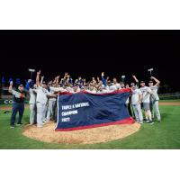 Durham Bulls celebrate the Triple A National Championship