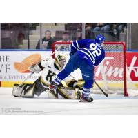 Mississauga Steelheads centre Owen Beck