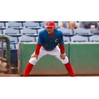 Clearwater Threshers Manager Marty Malloy