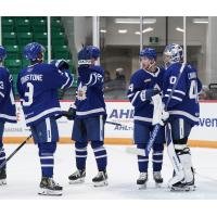 Toronto Marlies on the ice