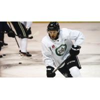 Texas Stars forward Riley Damiani