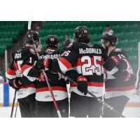 Belleville Senators gather after a goal against the Laval Rocket