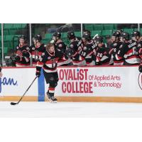 Belleville Senators forward Angus Crookshank