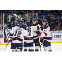 Saginaw Spirit celebrate after a goal against the Sudbury Wolves