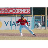 Washington Wild Things outfielder Cole Brannen