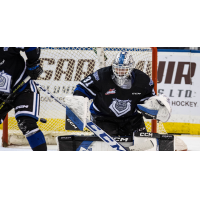 Victoria Royals goaltender Tyler Palmer