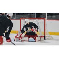 Goaltender Sebastian Cossa with the Grand Rapids Griffins