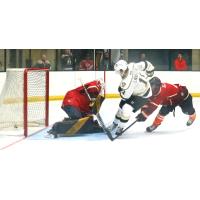 Wheeling Nailers' Peter Laviolette III takes on the Fort Wayne Komets