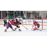 Belleville Senators battle Laval Rocket's Rafael Harvey-Pinard and Kevin Poulin