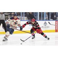 Grand Rapids Griffins right wing Dominik Shine (right) vs. the Milwaukee Admirals