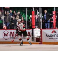 Belleville Senators centre Philippe Daoust