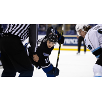 Victoria Royals' Matthew Hodson in action