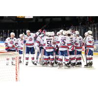 Rochester Americans on game day