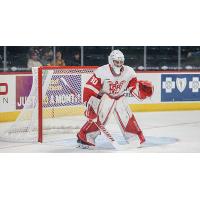 Grand Rapids Griffins' Sebastian Cossa On Game Day