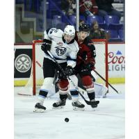 Vancouver Giants defenceman Nicco Camazzola (right) vs. the Winnipeg ICE