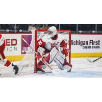 Grand Rapids Griffins goaltender Sebastian Cossa