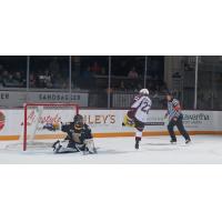 Peterborough Petes' Tucker Robertson on game day