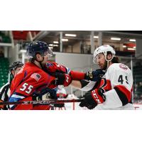 Springfield Thunderbirds' Dmitri Samorukov takes on Belleville Senators' Scott Sabourin