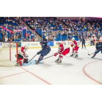 Allen Americans battle Tulsa Oilers