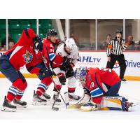 Springfield Thunderbirds' Steven Santini battles Belleville Senators' Egor Sokolov