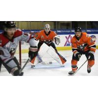 Worcester Railers goaltender Henrik Tikkanen