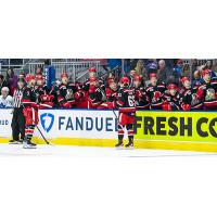 Grand Rapids Griffins right wing Dominik Shine gets congratulated by the bench vs. the Toronto Marlies