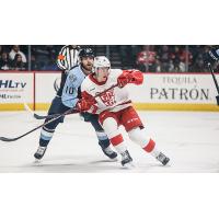 Grand Rapids Griffins forward Matt Luff