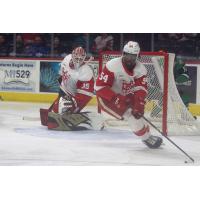 Grand Rapids Griffins' Magnus Hellberg And Givani Smith In Action