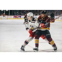 Grand Rapids Griffins tangle with the Chicago Wolves