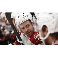 Tucson Roadrunners' Mike Carcone