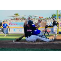 Pensacola Blue Wahoos in action