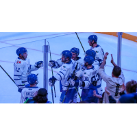 Wichita Thunder gather after a goal