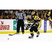 Defenseman Josh Maniscalco with the Wilkes-Barre/Scranton Penguins