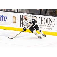 Wheeling Nailers defenseman Louie Roehl