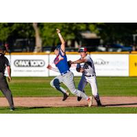 Victoria HarbourCats' Dallas Macia in action