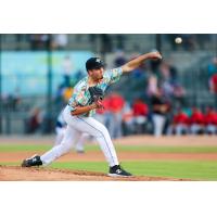 Columbia Fireflies' Ryan Ramsey on the mound