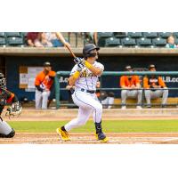 Charleston RiverDogs at bat