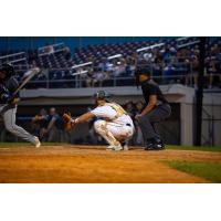 Fond du Lac Dock Spiders' Kelsen Johnson on game night