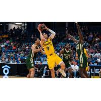 Edmonton Stingers' Brody Clarke in action