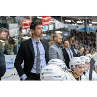 Sarnia Sting Associate Head Coach Brad Staubitz