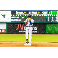 Charleston RiverDogs' Xavier Isaac