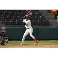 Tri-City Dust Devils' Osmy Gregorio at bat