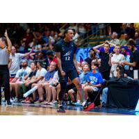 Scarborough Shooting Stars' Cat Barber on game night